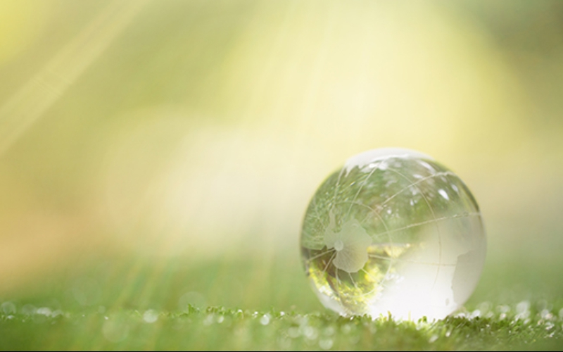 Alignment with the EU Green Deal